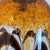 Murano Glass Pendant Chandelier, Mid Century - Italy For Sale - Image 13 of 13