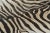 Modern Rug & Kilim’s Contemporary Burchell Zebra Hide Rug With Classic Black Stripes (Pair) For Sale - Image 3 of 9