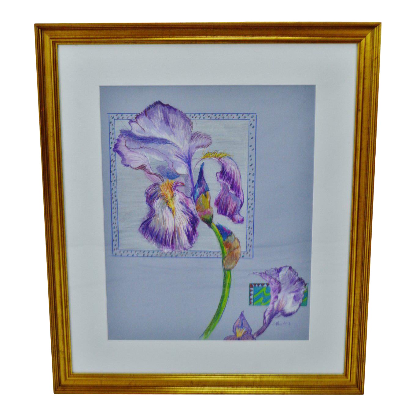 Vintage Framed Colored Pencil Iris Drawing Artist Signed Chairish