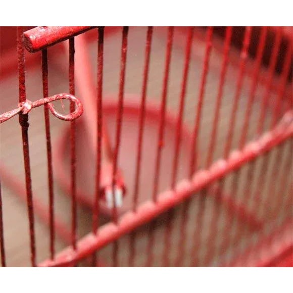 1930s Vintage Wire & Wood Birdcage For Sale - Image 5 of 9