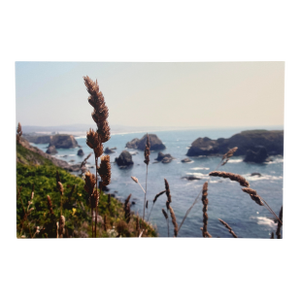 Big Sur Pacific Coast Highway Stretch Canvas Photograph