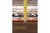 2020s Pasargad Home Serapi Rust Wool Area Rug- 9' 8'' X 13' 8'' For Sale - Image 5 of 6