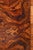 Art Deco Trolley in Walnut, Czech, 1920s For Sale - Image 15 of 18