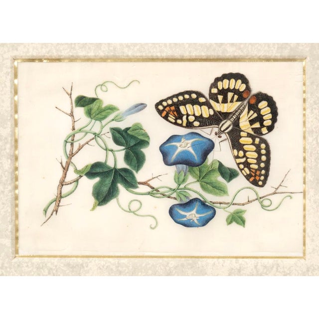 Four framed Chinese export pith paper watercolors in elaborate frames.