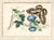Four framed Chinese export pith paper watercolors in elaborate frames.