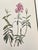 Vintage Botanicals Set of 2- Authentic 1953 Wild Flower Prints For Sale - Image 4 of 6