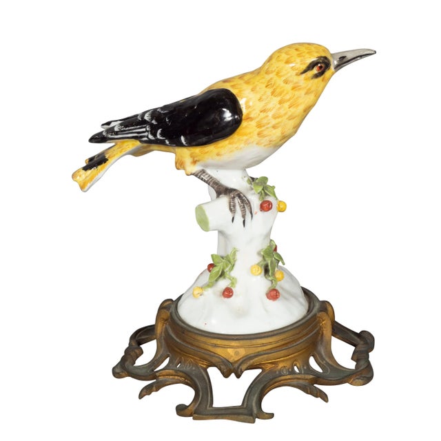 French European Porcelain Figures of Sunbirds - A Pair For Sale - Image 3 of 13