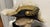 Weimar Prussian Officers Bicorn Hat For Sale - Image 12 of 12