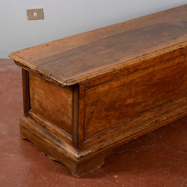 Wood Walnut Chest, Early 19th Century For Sale - Image 7 of 9