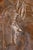 Art Nouveau Pallas Athena Panel by Georg Klimt, 1900 For Sale - Image 4 of 7