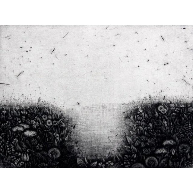 Paper Aleksandra Makowska, Herbarium, Mezzotint on Paper, 2003 For Sale - Image 7 of 7