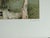 Antonio Rivera, Orage d'un soir, Lithograph For Sale - Image 6 of 7