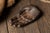 Early 20th Century Vintage Memento Mori Skull Pipe With Cast Iron Hand Tray For Sale - Image 5 of 11