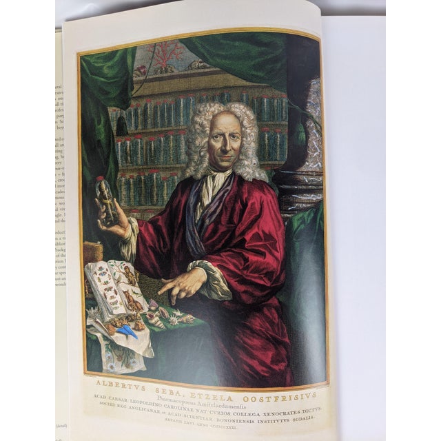 Albertus Seba's Cabinet of Natural Curiosities – Taschen Red & White Illustrated Book For Sale In New York - Image 6 of 12