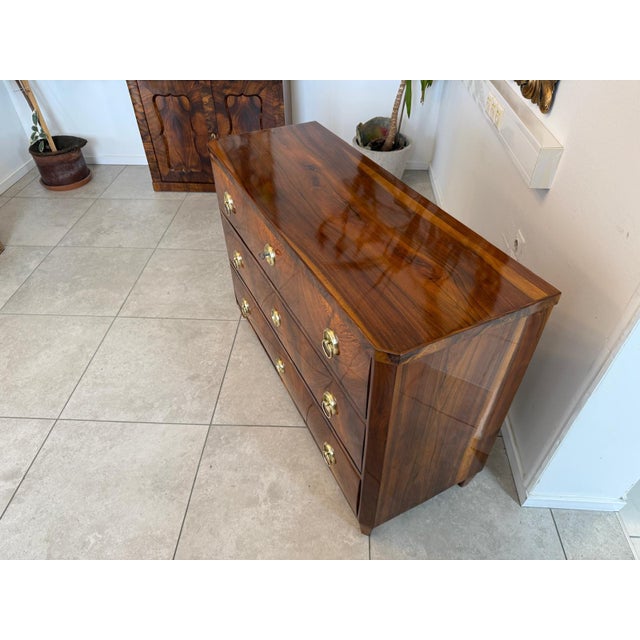 Brown Biedermeier Chest of Drawers in Walnut For Sale - Image 8 of 18