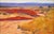 This oil painting captures a serene desert landscape, featuring warm earthy tones that evoke a sense of tranquility. The...