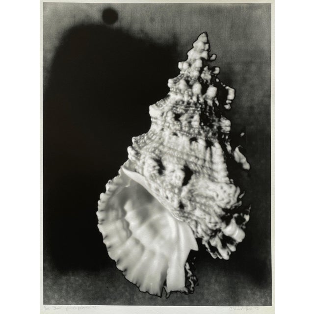 This image is handprinted in a darkroom from a pinhole negative captured in 1997 and enlarged in 2012. Pinhole cameras can...