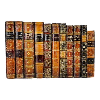 Faux Leatherbound Book Panel From England For Sale