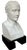 A classical and commanding Napoléon Bonaparte bust, after the celebrated original by Antoine-Denis Chaudet (1763–1810)....