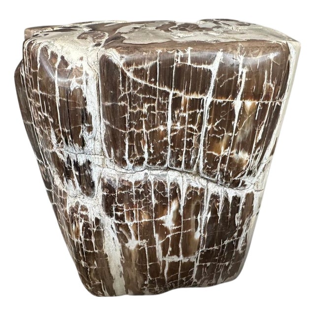 Andrianna Shamaris Ancient Sculptural Petrified Wood Side Table For Sale