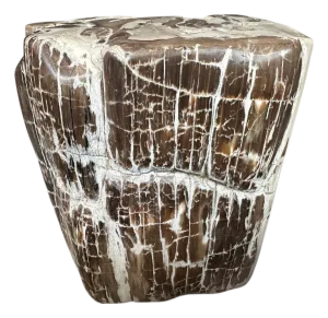 Andrianna Shamaris Ancient Sculptural Petrified Wood Side Table
