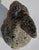 Figurative Reconstituted Stone Rabbit Garden Ornament For Sale - Image 3 of 8