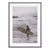 Laguna Beach Surfers 1970 by Slim Aarons Framed C-Print For Sale