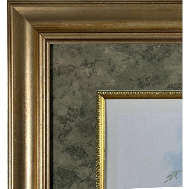 Antique Nineteenth Century John Gould Hummingbird Framed Fine Art Hand Colored Lithograph For Sale - Image 12 of 13