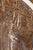 Art Nouveau Pallas Athena Panel by Georg Klimt, 1900 For Sale - Image 3 of 7