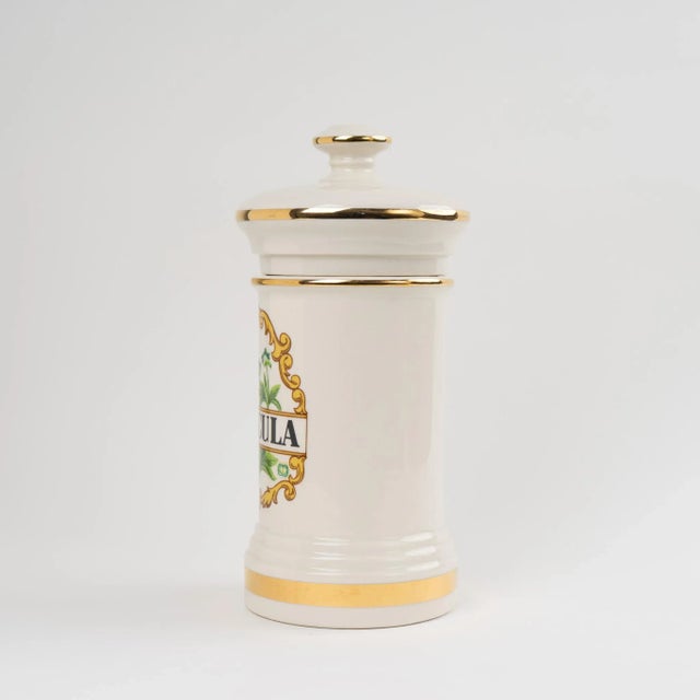 Off-white 1970s Vintage Ceramic Sanicula Apothecary Jar For Sale - Image 8 of 11