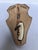 Vintage 1973 German Roe Deer Antler Mount With Matching Jawbone For Sale - Image 14 of 14