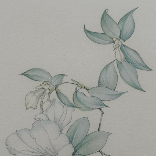 Paper Margot Weemaes 1981 Rhododendron Fragrantissimum Botanical Portfolio Print For Sale - Image 7 of 11