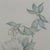 Paper Margot Weemaes 1981 Rhododendron Fragrantissimum Botanical Portfolio Print For Sale - Image 7 of 11