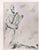 Etching on Montval wove paper, realized by Marc Chagall in 1931-39 and published by Tériade in 1956. Edition of 275+30 out...