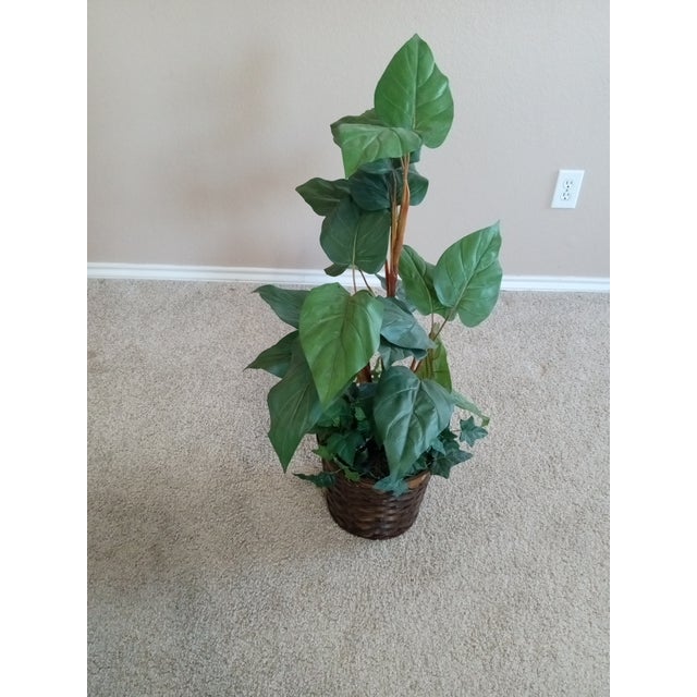 American Gorgeous Faux Alocacia Large Foliage Tall Plant in Wicker Basket For Sale - Image 3 of 5