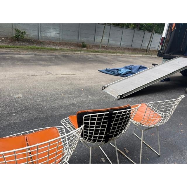 1960s 1960s Set of 6 Harry Bertoia for Knoll Wire Chairs Leather Cushions For Sale - Image 5 of 10