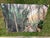 American Old Florida; Highlands Hammock State Park, Sebring Florida Photo Print. Cypress Swamp Boardwalk, Four by Three Feet in Plastic For Sale - Image 3 of 12