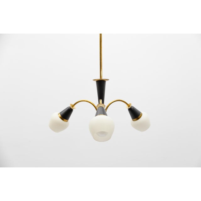 Mid-Century Modern Mid-Century Modern Brass 3-Armed Sputnik Lamp, 1950s For Sale - Image 3 of 13