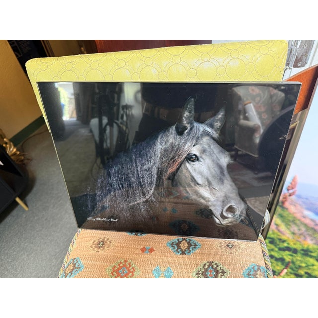 Design Plus Gallery presents an Acrylic Print of a Friesian Ster Mare Brechtsje by Jerry Kirkland Cook. A striking image...