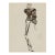 Vintage French Fashion Art Print – Art Deco Couture Illustration, 36" X 48" For Sale