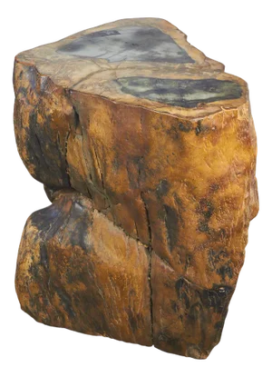 Fossilized Wood Coffee Table, 1970s