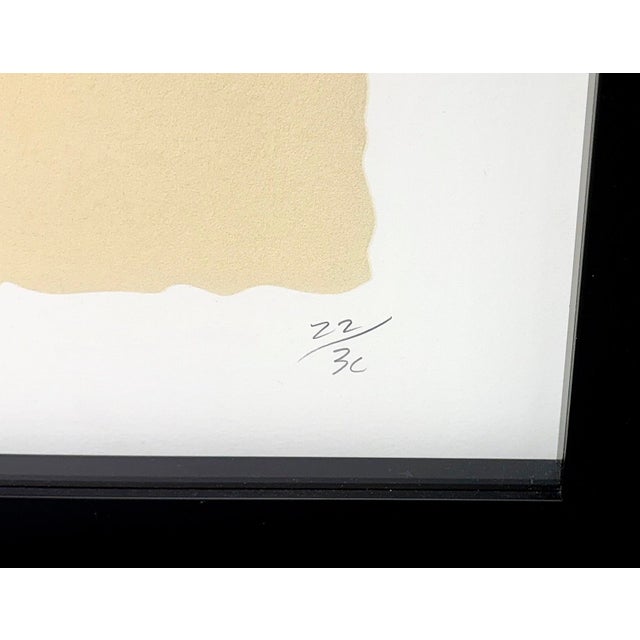 Contemporary Donald Sultan, Lantern Flowers, Feb 18, 2012, Huge Hand Signed Screen Print, 45 X 80 In. Framed, 2012 For Sale - Image 3 of 3