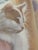 Framed Mark Keathley “Noël” Hand-Signed Print – Child & Cat Portrait For Sale In Saint Louis - Image 6 of 10