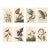 Collection of 4 Vintage 1966 John James Audubon Bird Reproduction Prints 8.5" X 12.75" For Sale