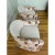 1990s Pair of 1990s Attributed Brueton Swivel Chairs, Newly Upholstered in Kravet Chenille & Fabricut Printed Velvet For Sale - Image 5 of 8