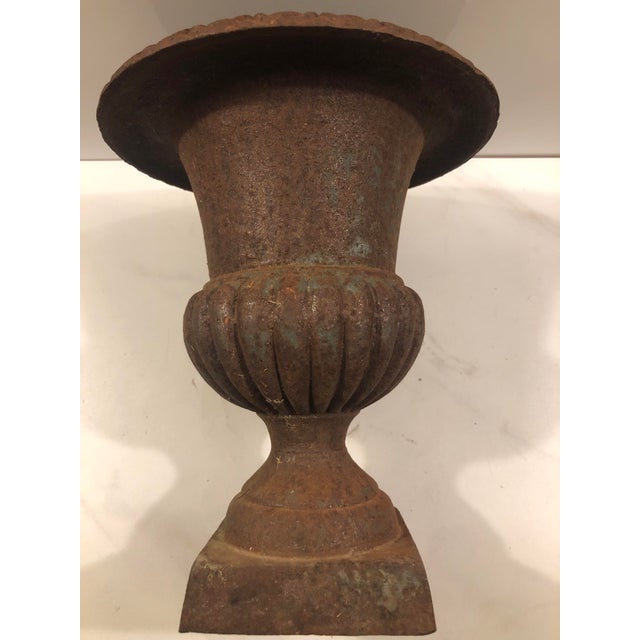 Early 20th Century Vintage French Cast Iron Urn For Sale - Image 5 of 10