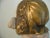 Metal Circa 1890 Royal Portrait Marble Gilt Bronze Bust of Dutch Queen Wilhelmina of the Netherlands - Sig For Sale - Image 7 of 9