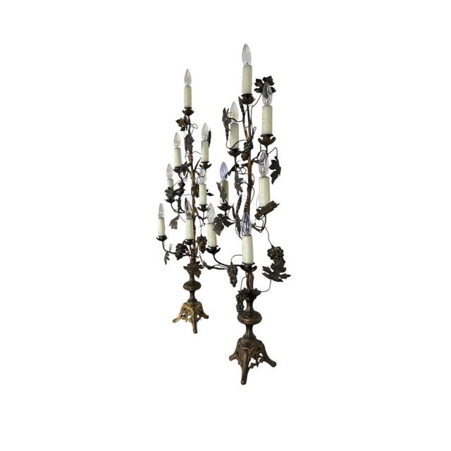 A striking pair of gilt and patinated brass candelabra, converted for electricity, each designed with exuberant...