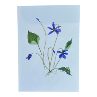 Nancy Smith Original Colored Pencil Drawing "Wildflowers" For Sale