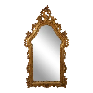 Ornate Wood Carved Frame Gold Rococo Mirror